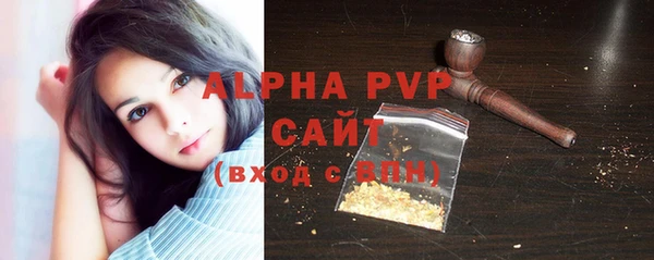индика Бугульма