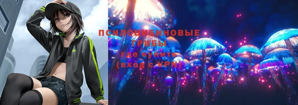 винт Бронницы
