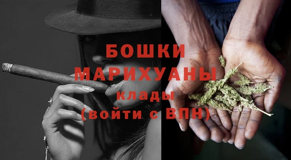 индика Бугульма