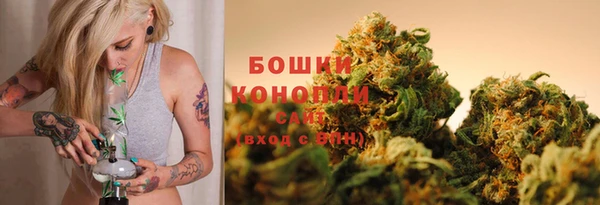 бошки Бородино