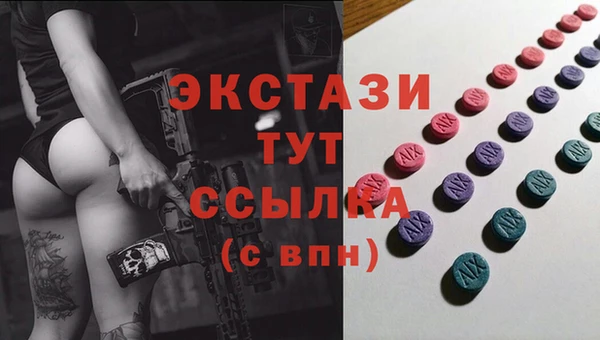 индика Бугульма