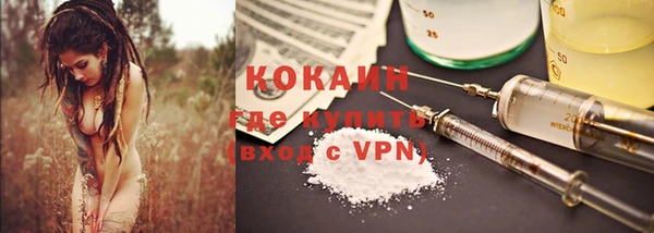 бошки Бородино