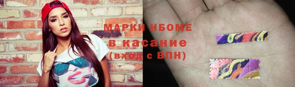 индика Бугульма