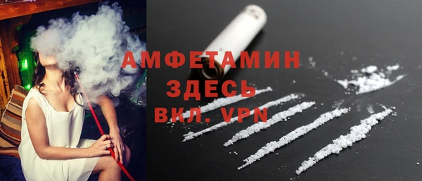 индика Бугульма