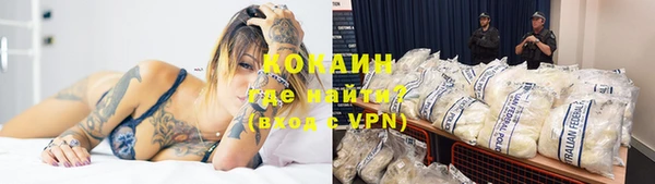 бошки Бородино