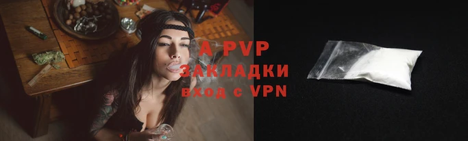 бошки Бородино