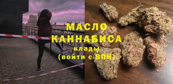 индика Бугульма