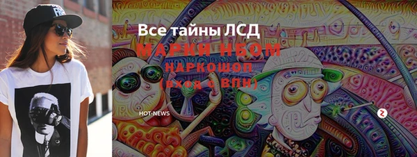индика Бугульма