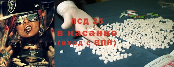 индика Бугульма