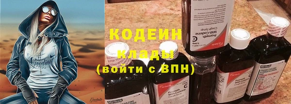 индика Бугульма