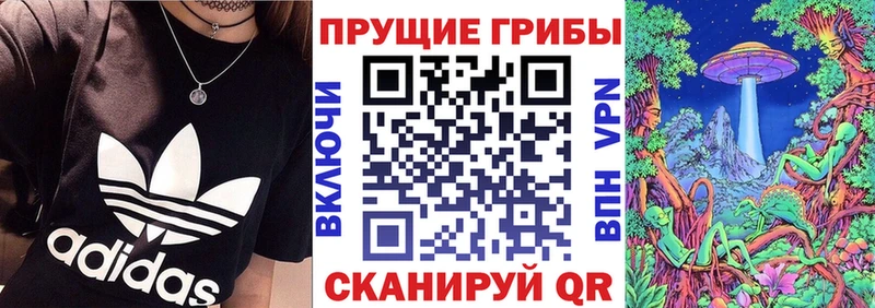 Псилоцибиновые грибы Magic Shrooms  блэк спрут ссылки  Пятигорск  наркошоп 