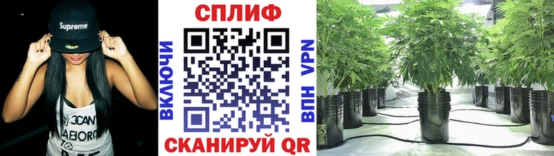 кракен ССЫЛКА  Пятигорск  Конопля планчик 